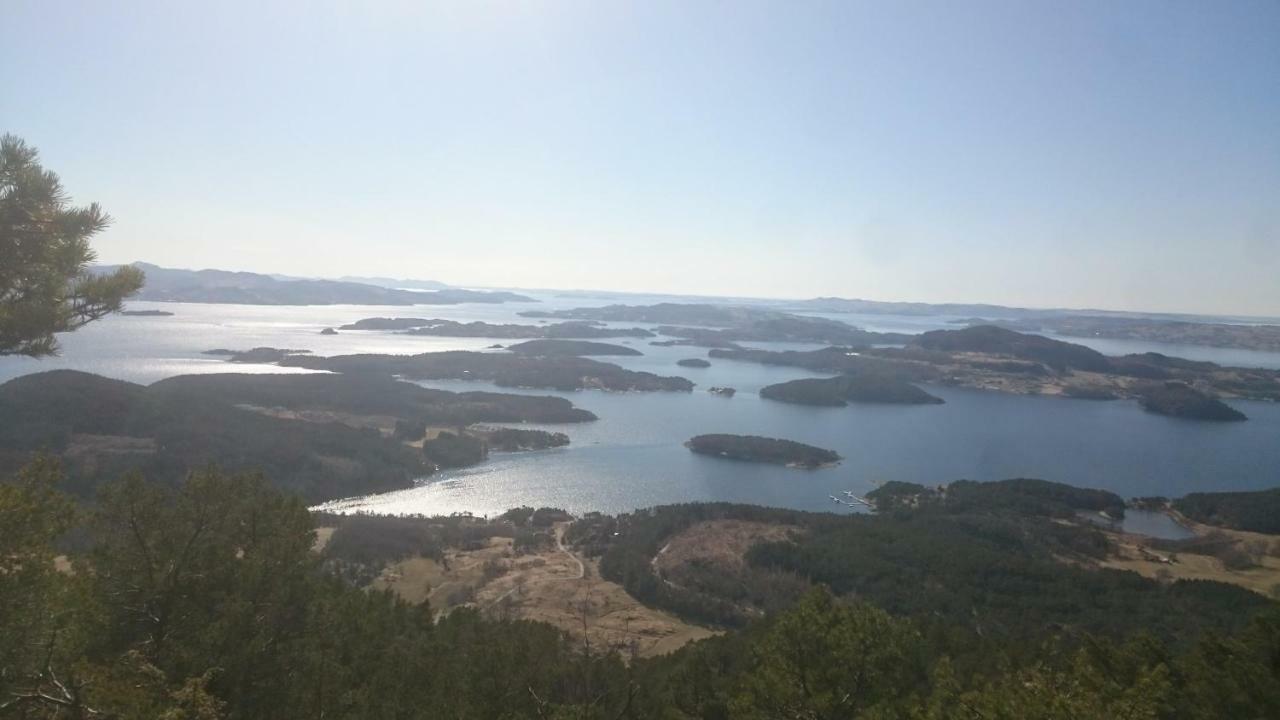 Dada * Hjelmeland